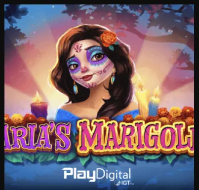 Maria's Marigolds